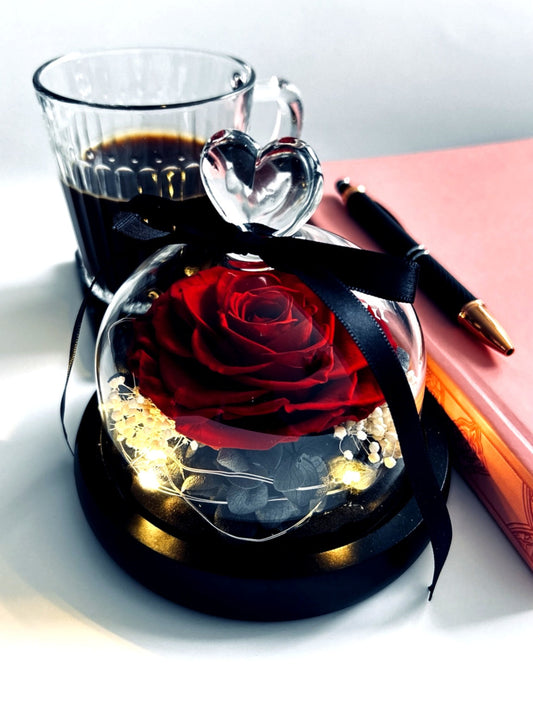 Fleur étérnelle en bocal - Collection Beniem | Maison M Bijoux Maison M Bijoux