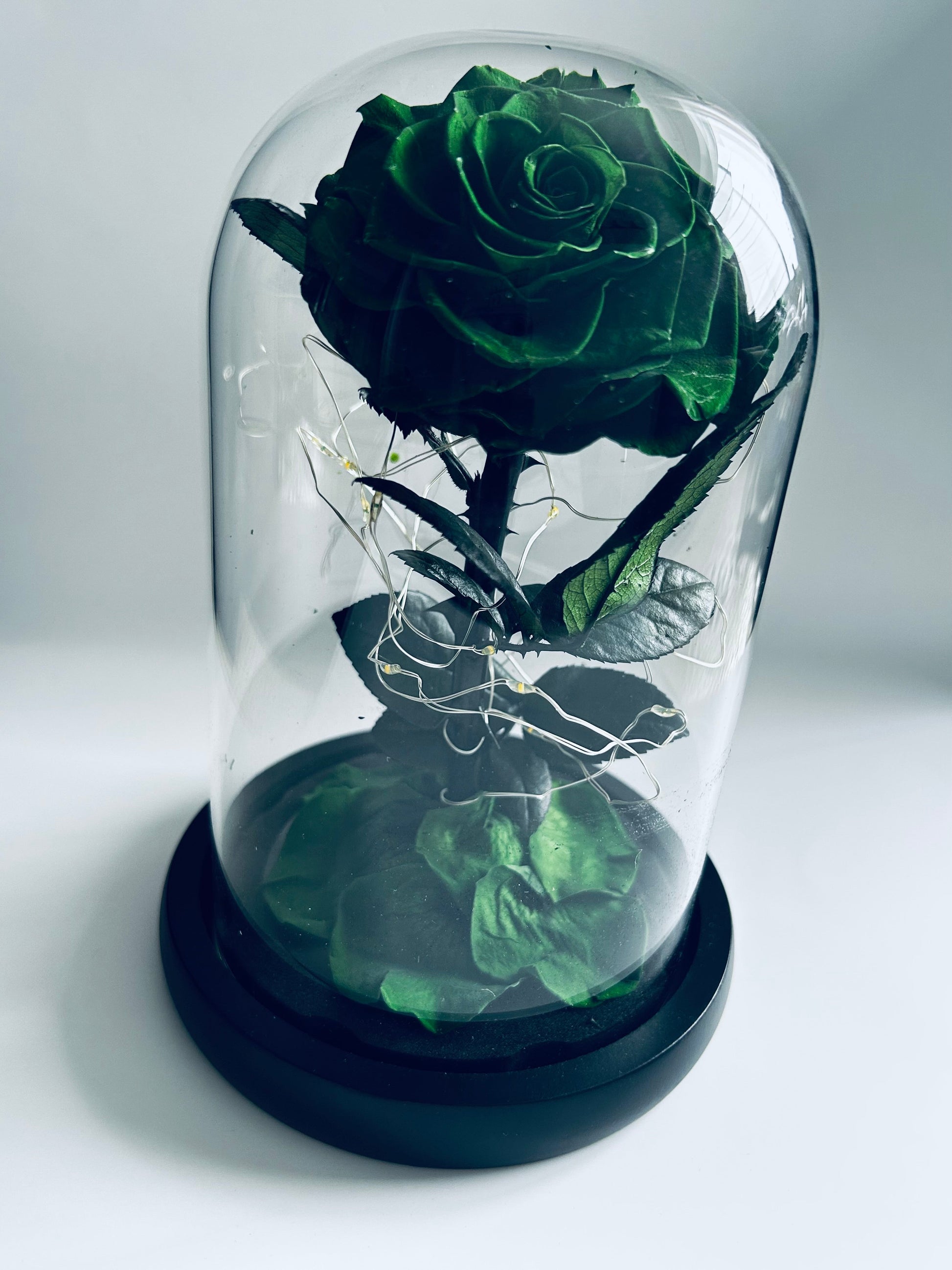 Fleur éternelle en bocal sur tige- Collection Beniem | Maison M Bijoux Maison M Bijoux