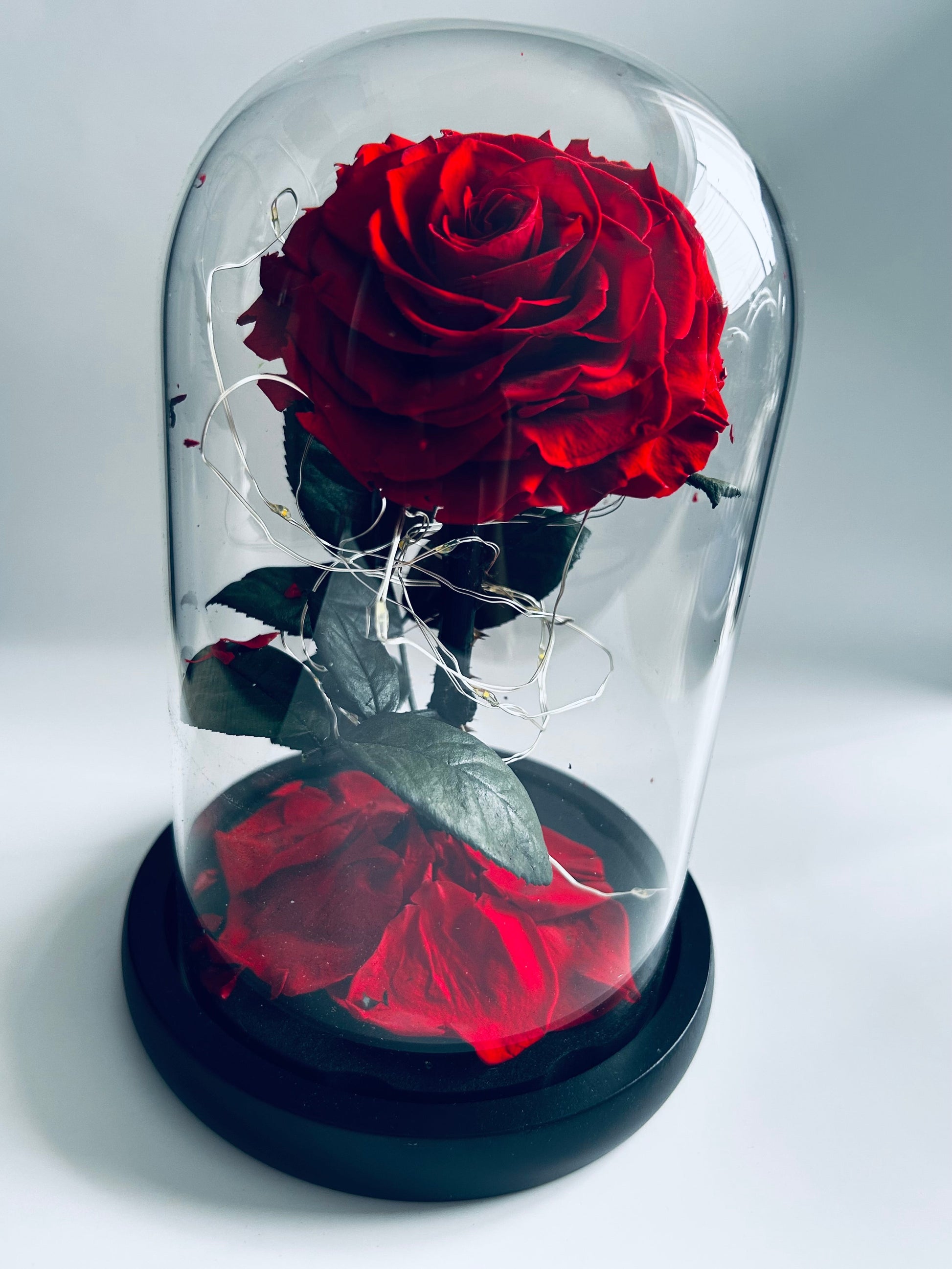 Fleur éternelle en bocal sur tige- Collection Beniem | Maison M Bijoux Maison M Bijoux