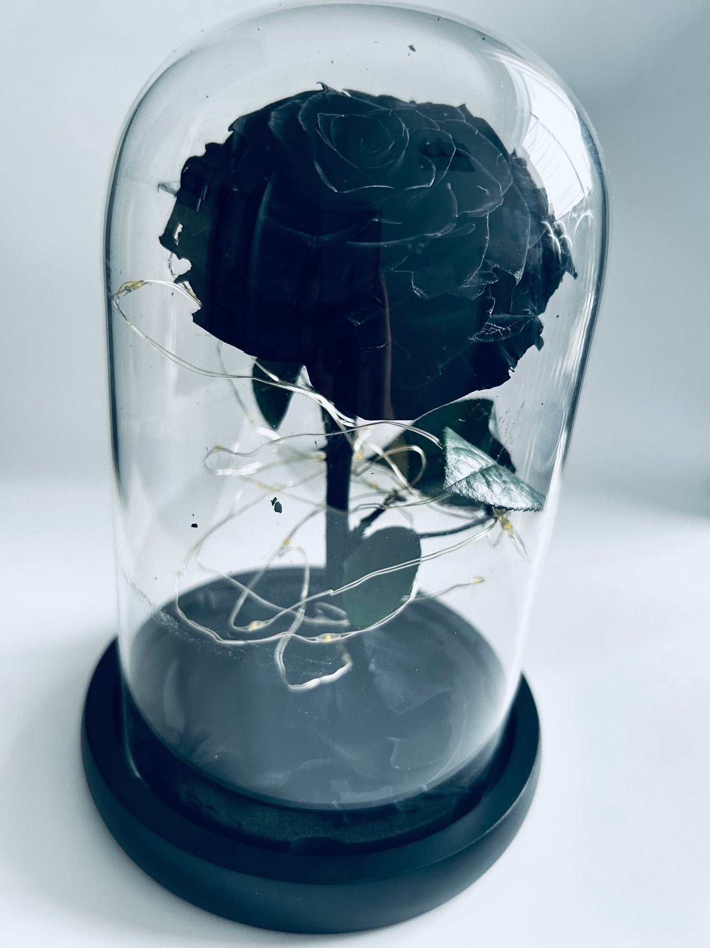 Fleur éternelle en bocal sur tige- Collection Beniem | Maison M Bijoux Maison M Bijoux