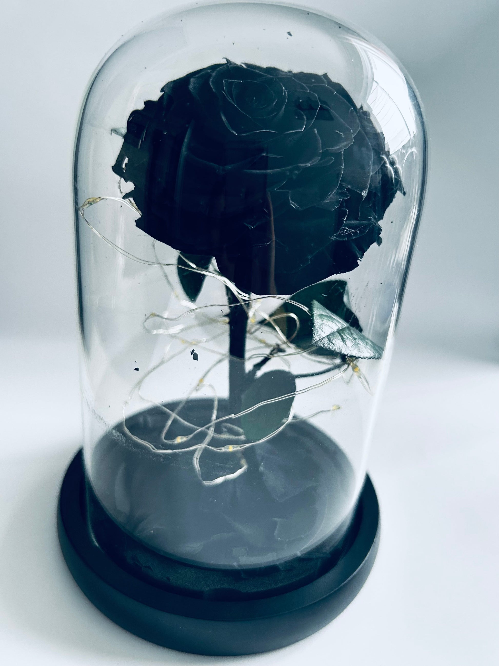 Fleur éternelle en bocal sur tige- Collection Beniem | Maison M Bijoux Maison M Bijoux